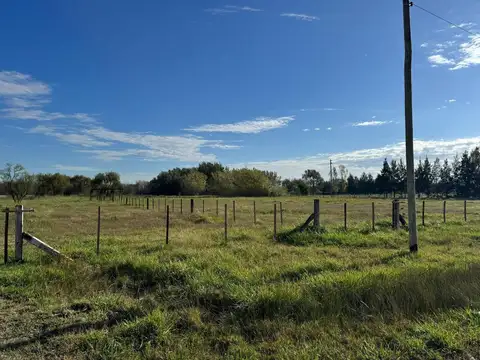 BELTRAN-CHACRAS DEL ALBA