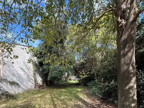 PACHECO SUR - TIGRE - Aguado 800