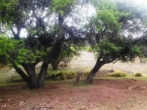 Campo en Venta Turístico