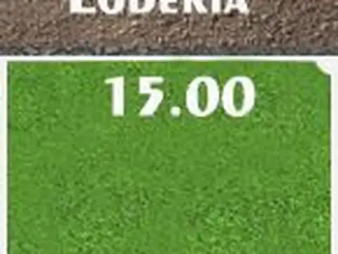 Terreno - Venta - Argentina, Lobos - LOBERIA 1000