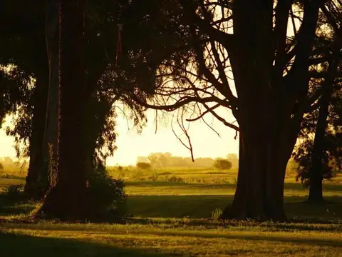 Terreno en Venta de 1255,0 m2