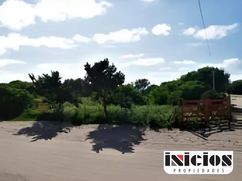 Hipólito Yrigoyen y Almafuerte