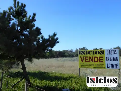 3 lotes en block:  Yrigoyen esq. Almafuerte - B334