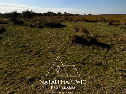 Campo en Venta de 1.010  ha