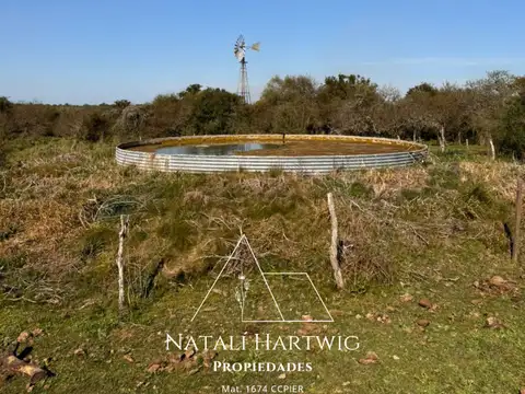 Campo 1010has! Chajari