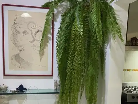 Ricardo Balbin 1663 , Piso pb