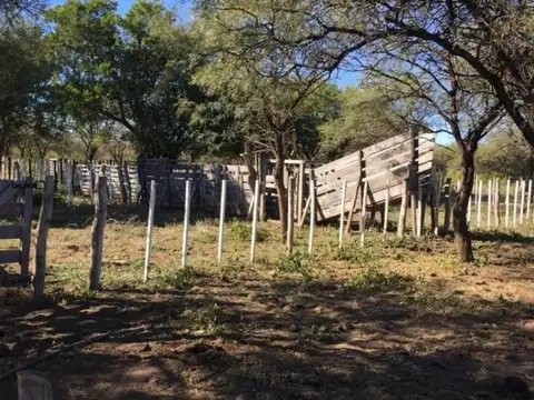 Campo 180 ha Ganadero en Venta Villa de Soto