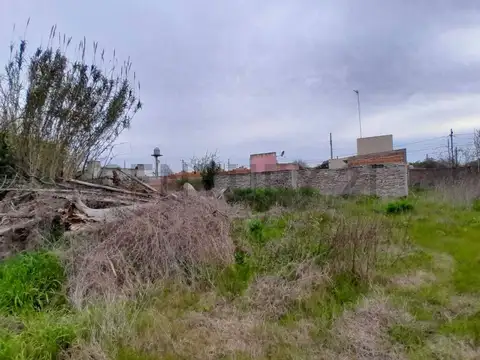 Talcahuano 100