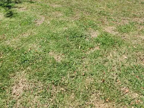 Casa en Venta en Pilar del Este - Santa Emilia, USD 180.000