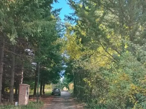 LOTES EN VENTA EN GOLONDRINAS
