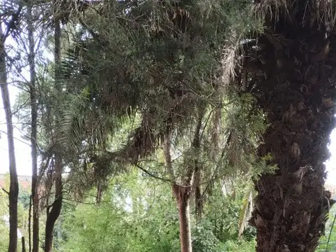 Terreno en Venta en Tristan Suarez, USD 29.500