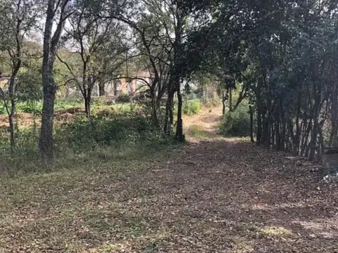 Dean Funes 100