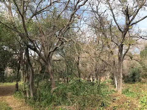 Terreno en Venta de 479,0 m2