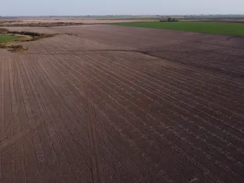 Campo en Venta de 72  ha