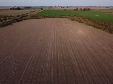 Campo en Venta de 72  ha