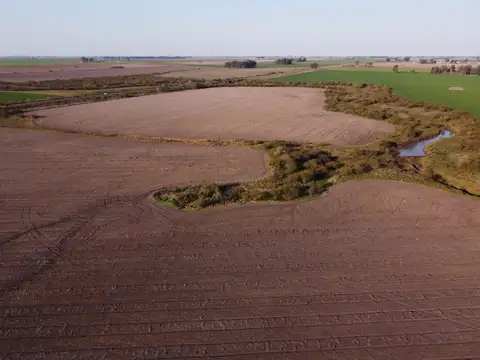 Campo en Venta Agricola