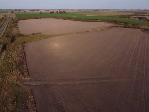 72 has agrícola sobre asfalto