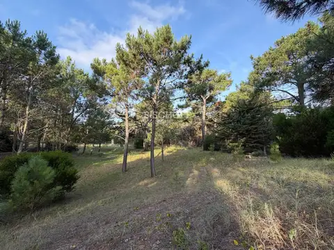 Terreno en Venta de 30000,0 m2