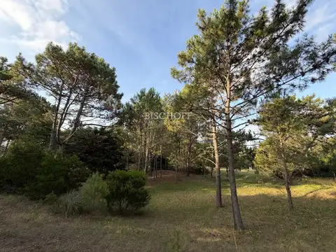 EXCELENTE TERRENO EN ACCESO NORTE, VILLA GESELL