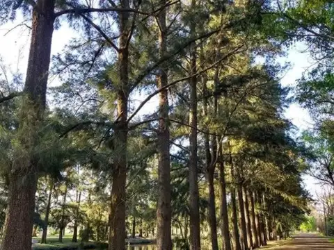 Casa en Venta en Barrio Cube, USD 215.000