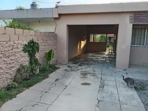 Colon 100