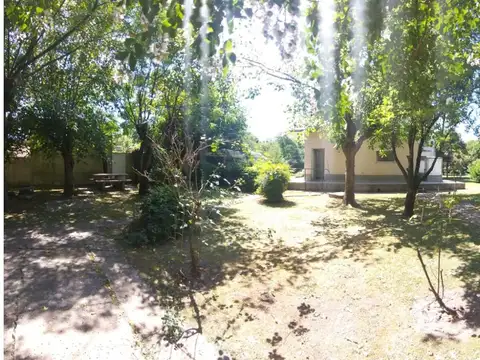 Paganelli 258
