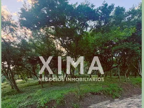Quebrada de los Nogales