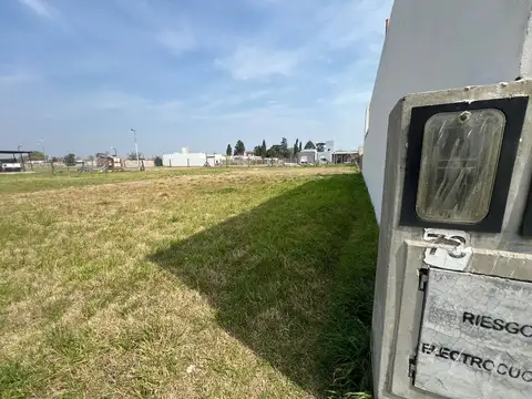 Alforsina Storni 1200