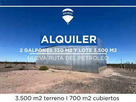 ALQUILER GALPONES NUEVA RUTA DEL PETROLEO NEUQUEN