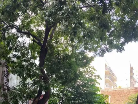 Terreno en Venta en Constitucion, USD 310.000