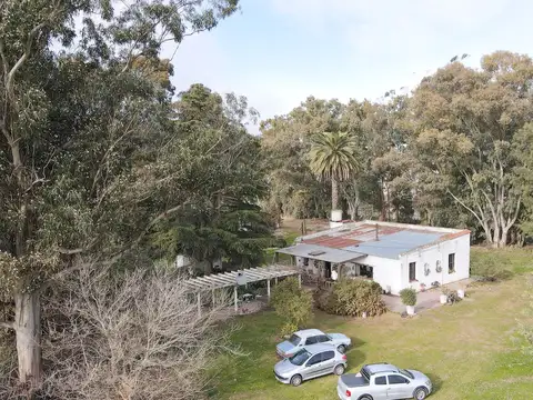Quinta en Venta en Tandil, USD 275.000