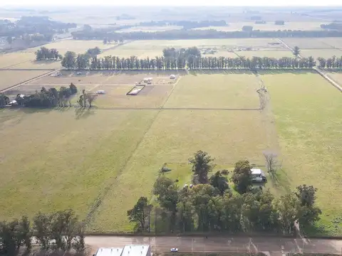 CHAPALEUFU 1300
