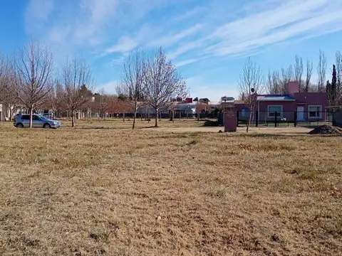 Terreno en Venta en General Roca, USD 22.700