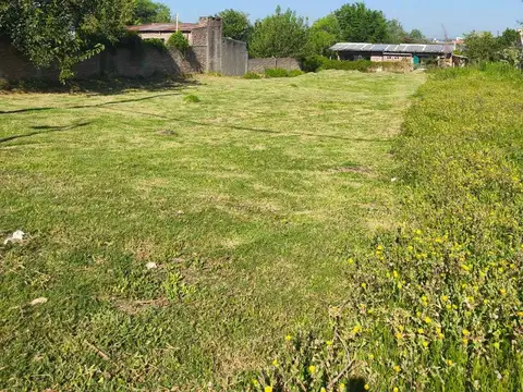 Los Jilgueros 400