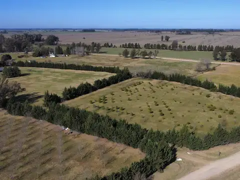 Chacras del Paraná Zarate