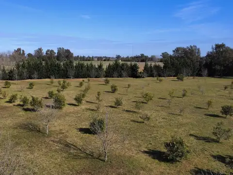 Terrenos en Venta en Chacras del Parana Zárate
