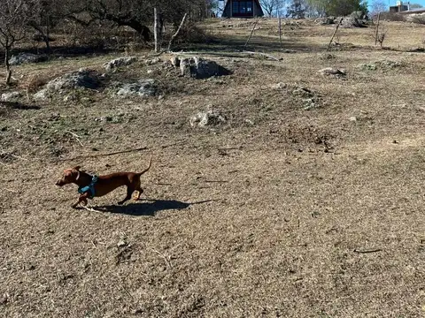 Terreno en Venta 62  mts Fondo