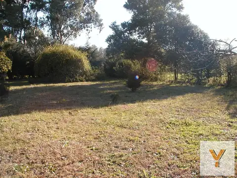 Terreno en Venta 52  mts Fondo