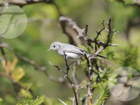 Terreno en Venta en Yacanto, USD 40.000