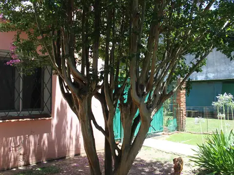 Casa en Venta en Villa Elisa, USD 70.000