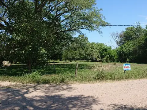 NICOLAS ROJAS ACOSTA 4500