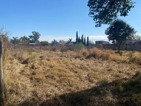 José D Anuncio 600