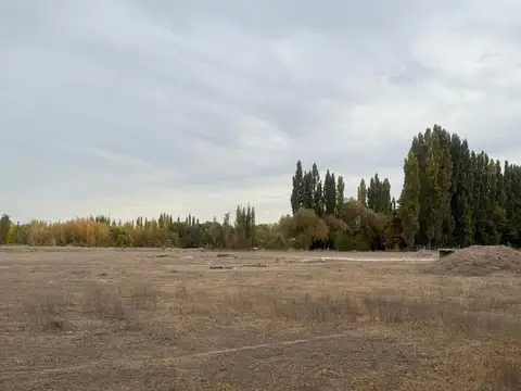 Mamerto Esquiú