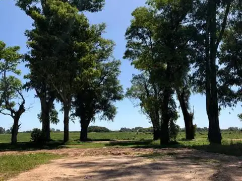 Terreno en Venta en Los Tres Pinos, USD 26.000