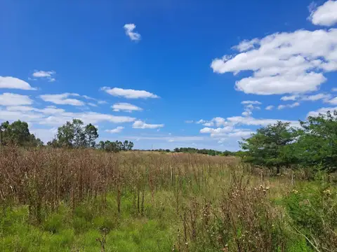 Terreno en Venta de 20000,0 m2