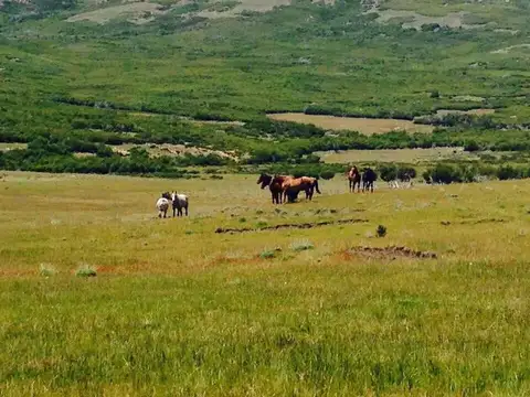 Campo en Cholila con Rio Interno- Sobre ruta 15, a 2 km del Lago Mosquito