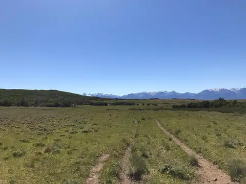 Ruta 15 Km 8