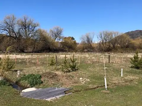 Campo en venta en Cholila con Rio Interno- Sobre ruta 15, a 2 km del Lago Mosquito