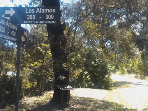 Quinta en Venta 30 años