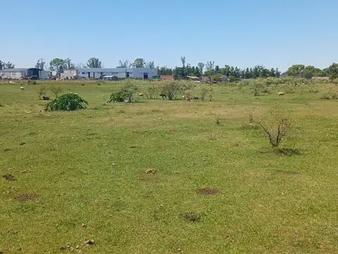 Terreno en Venta en Mercedes, USD 295.000